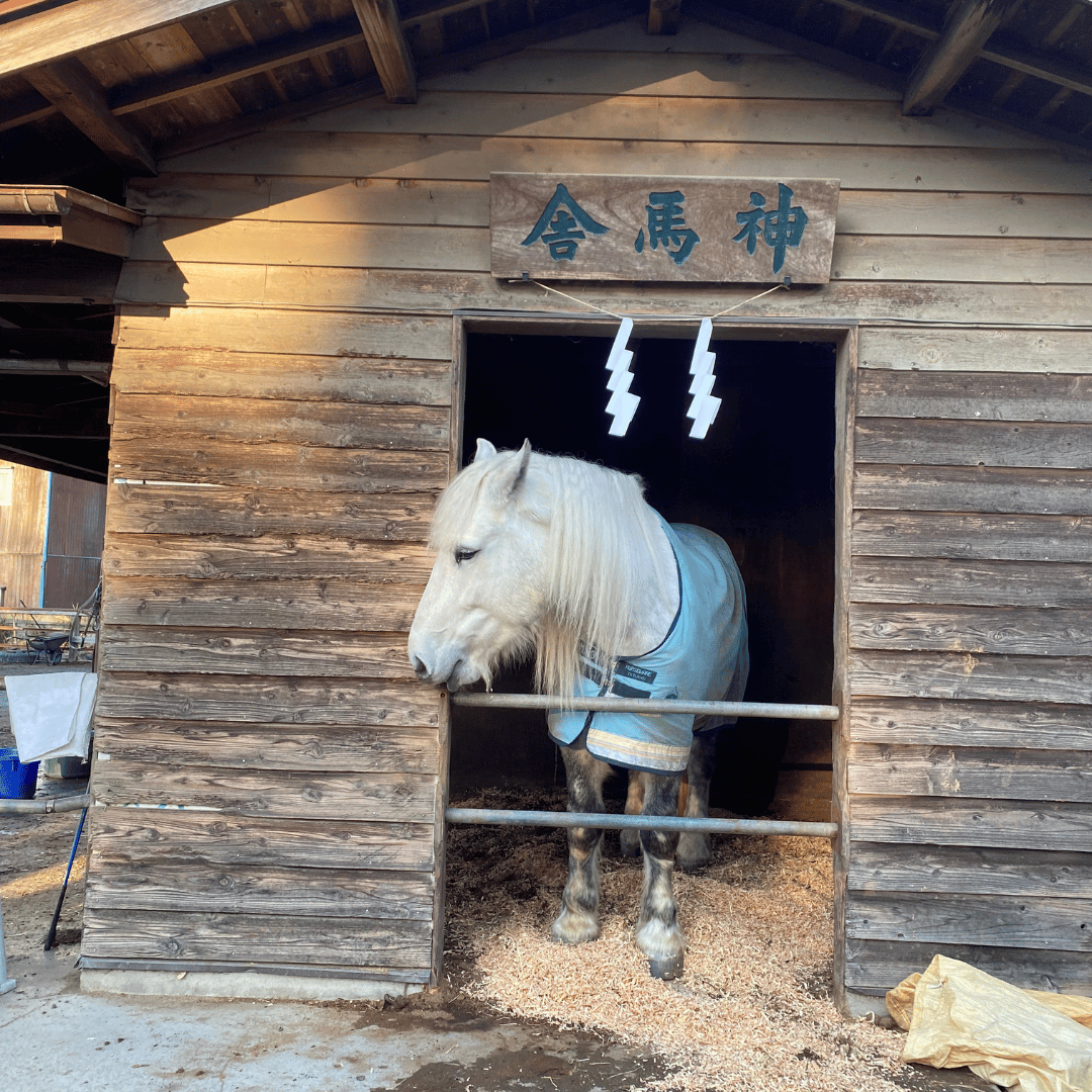 神社の神馬